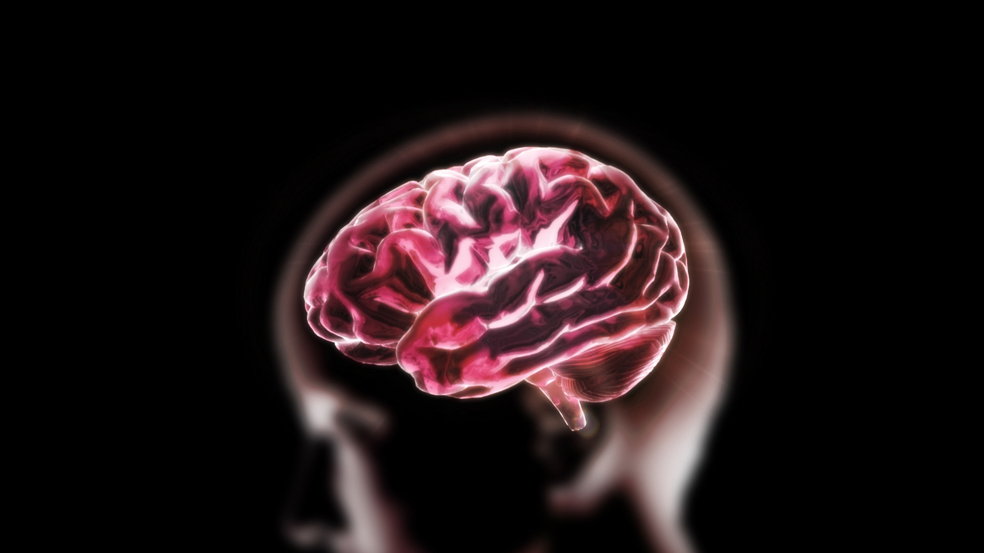 human-brain-mapping