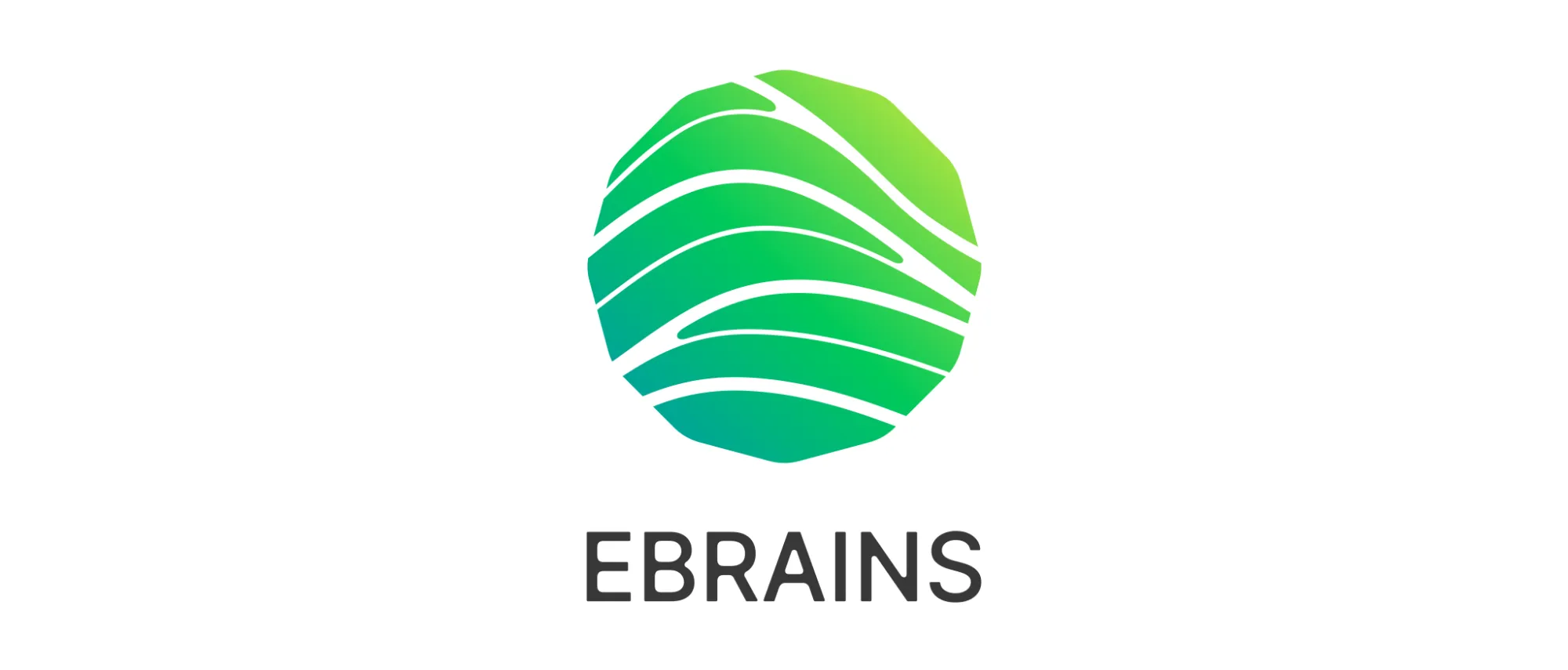 Collaborate and Create: EBRAINS Open Calls for Researchers